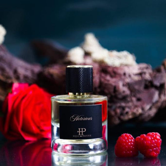 Hijaz Prestige Notorious